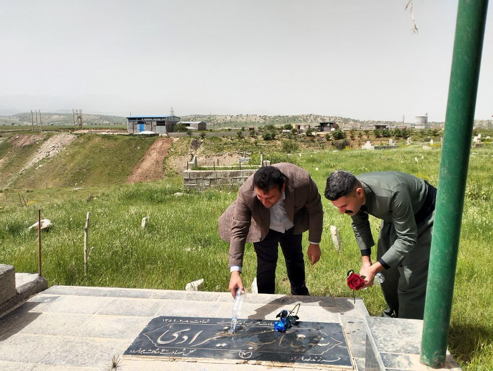 رسانه جدید