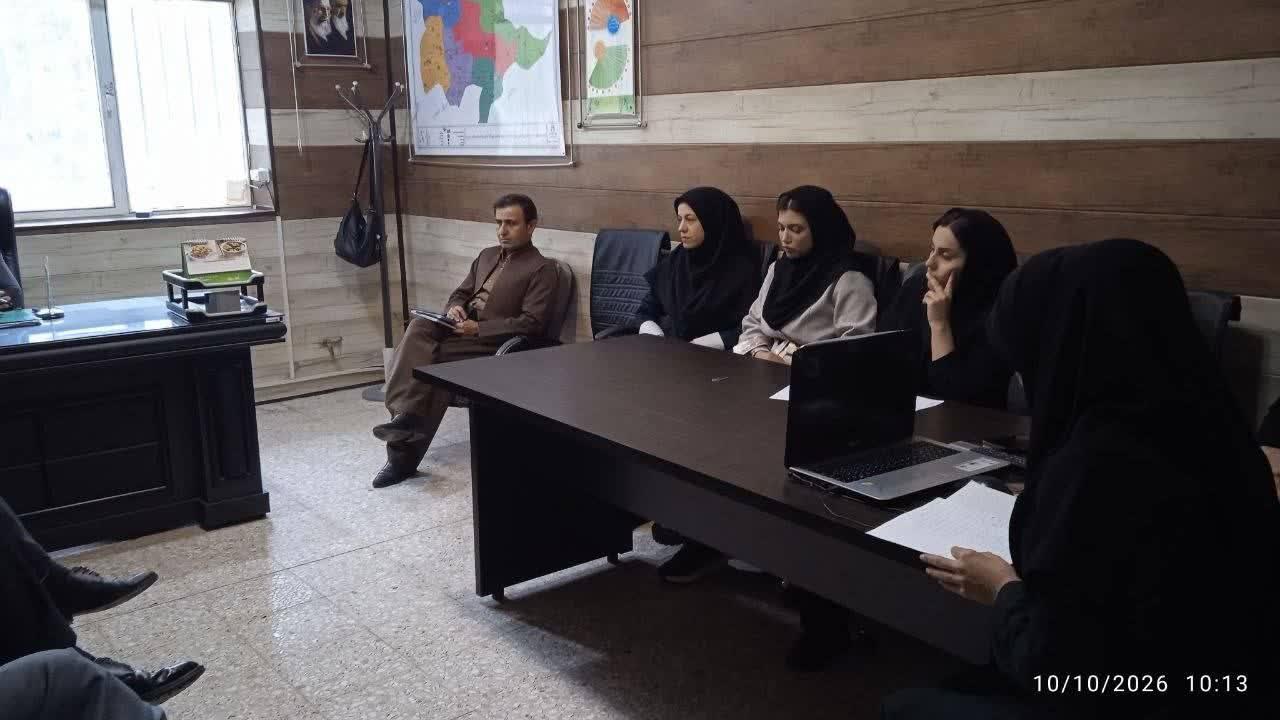 رسانه جدید